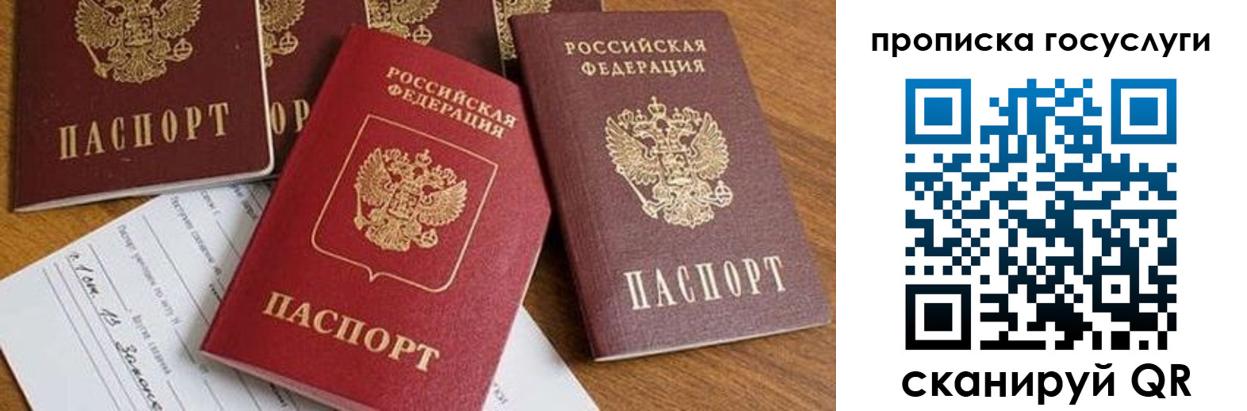 прописка ребенка в ЕАО